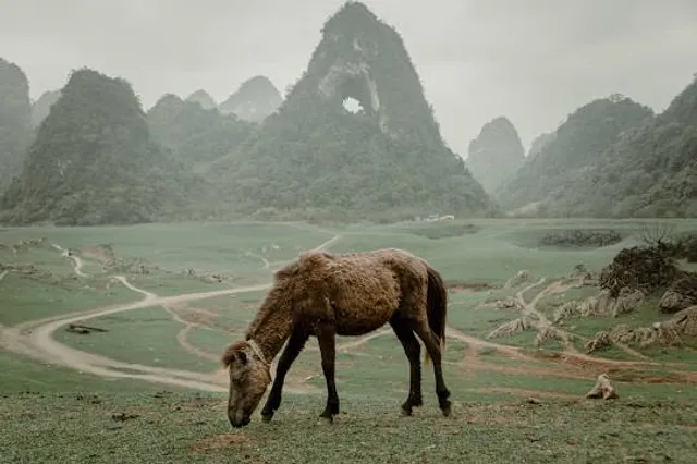 God’s Eye Mountain