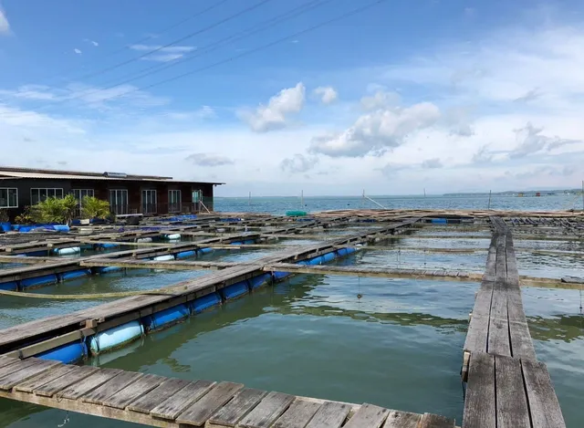 Johor Poseidon Oysterbay Resort