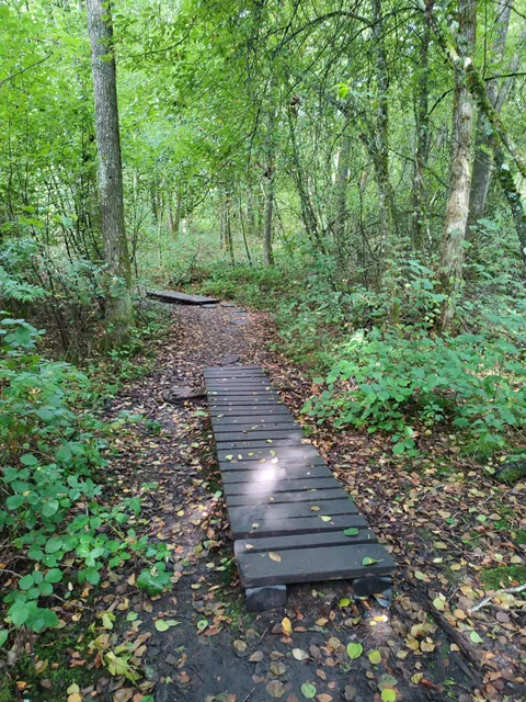 Traumschleife "Der Hochwälder"