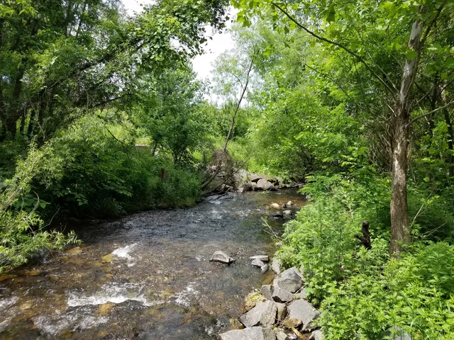 Berks Nature Angelica Creek Park
