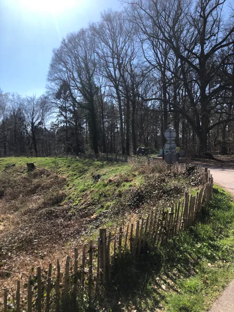 Montferland (Bergherbos)