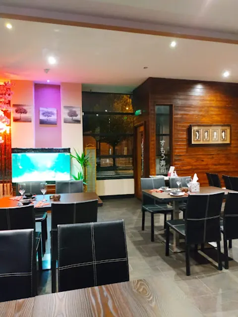 Sumo Fusion Sheffield