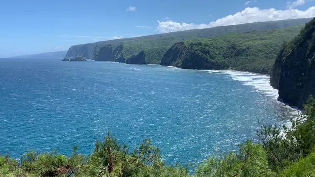 Hawaii Forest & Trail