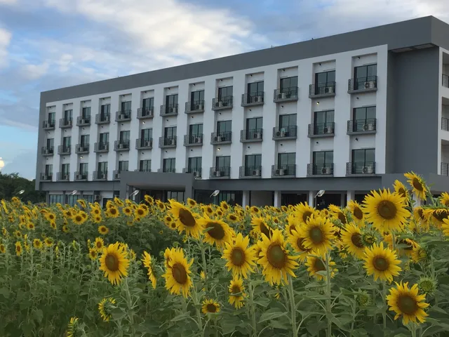 The Nest Hotel Phichit