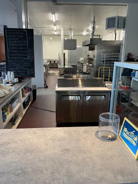 Kinetic Bagel Institute