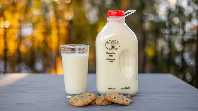 The Reedsville Creamery - Farm Stand
