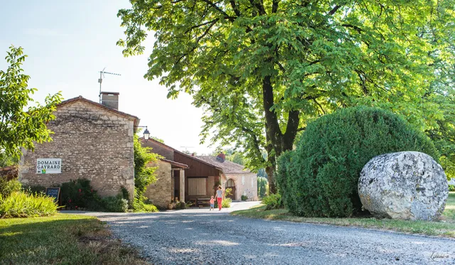 Domaine GAYRARD - GAYRARD & CIE. Vins de GAILLAC en Bio et Biodynamie. Visites, dégustation et vente sur place.