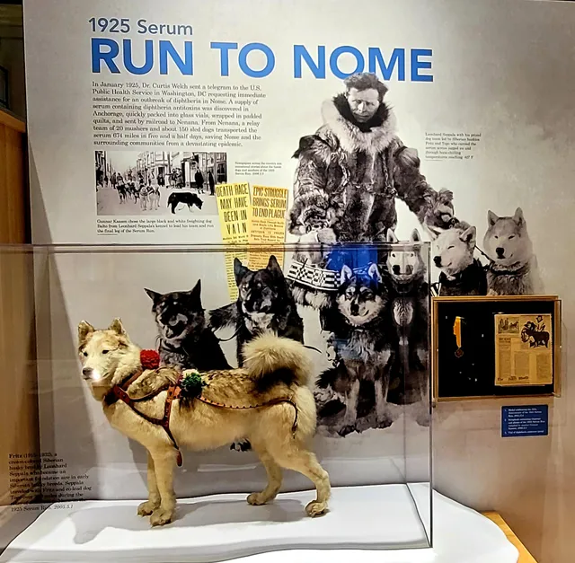 Carrie M. McLain Memorial Museum