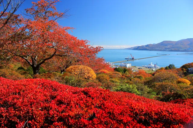 Temiya Ryokuka Botanical Gardens