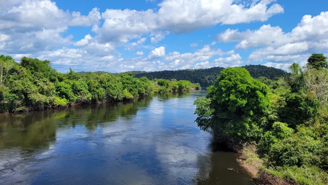 Reserva Biológica de Uatumã