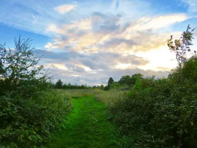 Penn Wood - Wiltshire Wildlife Trust