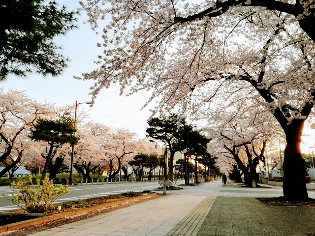 Towada City Central Park