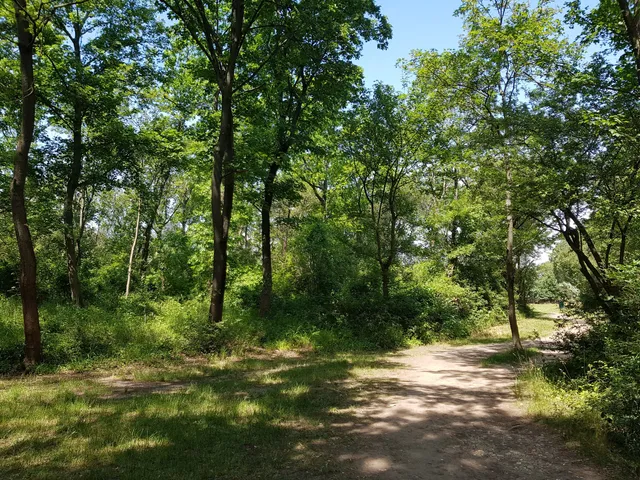 Erholungsgebiet Laaer Wald