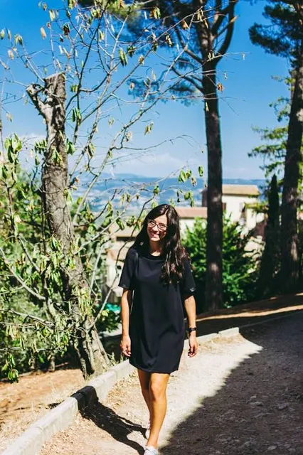 Adrenalin Forest Wellington