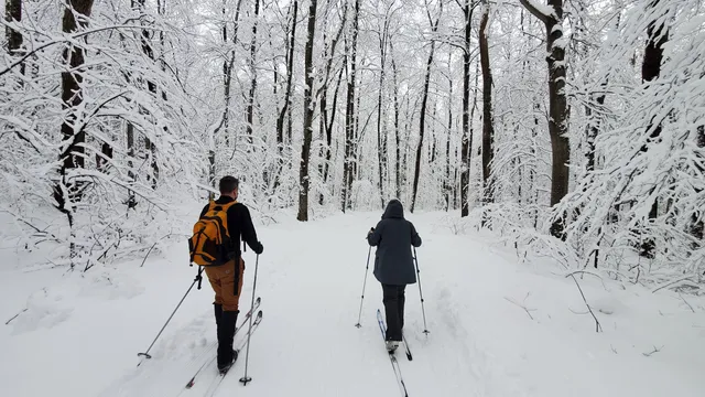 Camel's Hump Nordic Ski Area
