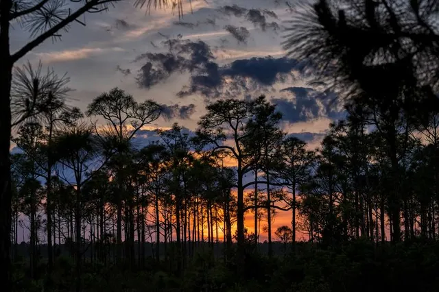 Fred C. Babcock/Cecil M. Webb Wildlife Management Area
