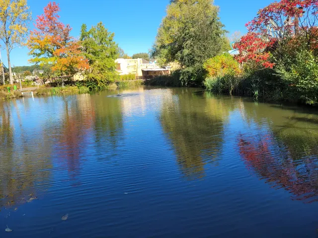 photo-3