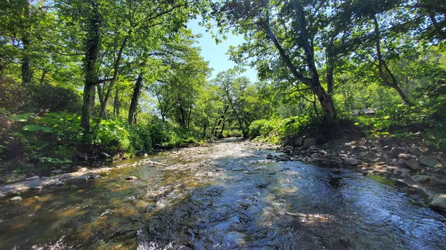 Dōmin no mori Ichibangawa-chiku