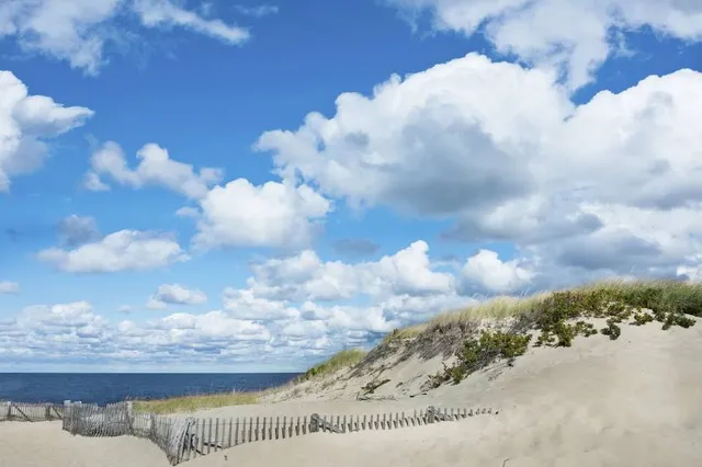 Sampsons Island Wildlife Sanctuary