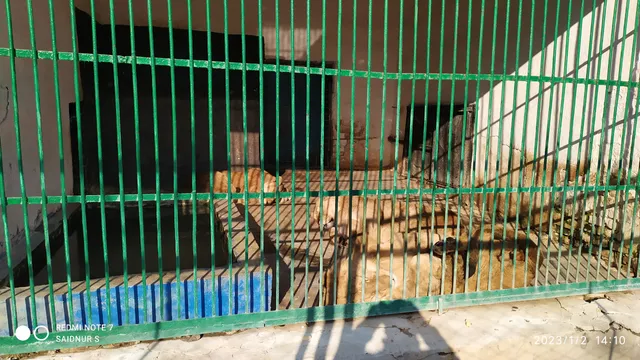 photo-2