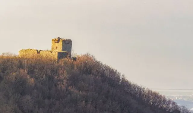 Forte Fratello Minore