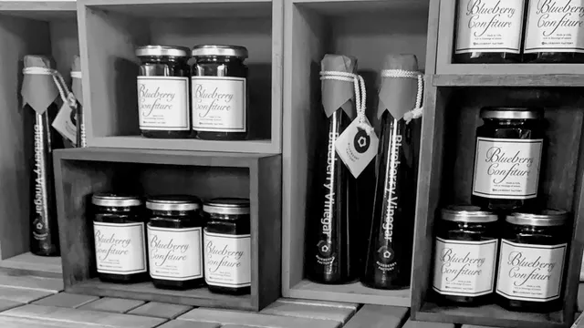 Blueberry Factory Gifu