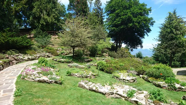 Garden Alpinia in Alpino