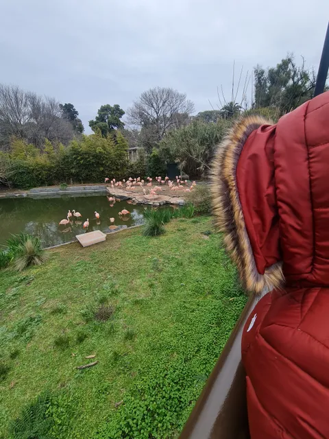 Ecoparque ex Zoo de palermo