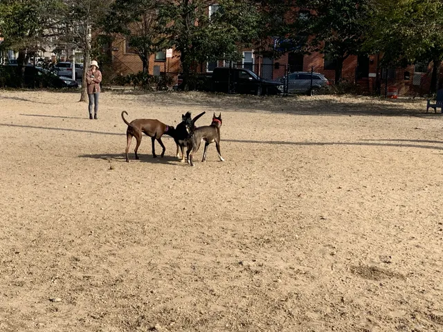 Canton Dog Park