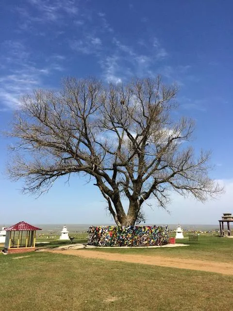 Odinokiy Topol' S Kaskadom Rodnikov
