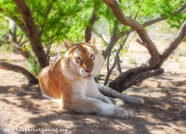 Keepers of the Wild Nature Park
