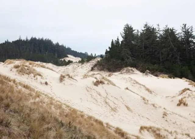 Oregon Dunes Day Use Area