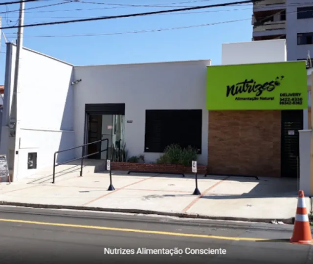 Nutrizes Alimentação Natural