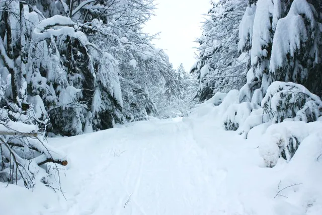 Mountain Trails Cross Country