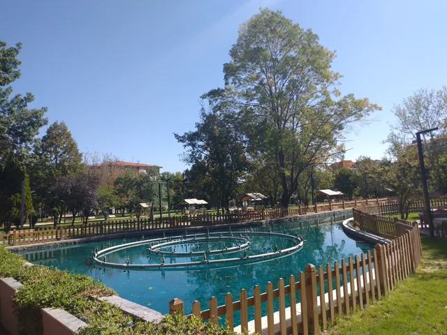 photo-2