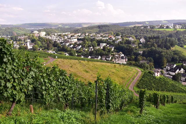 Trierer Weinkulturpfad