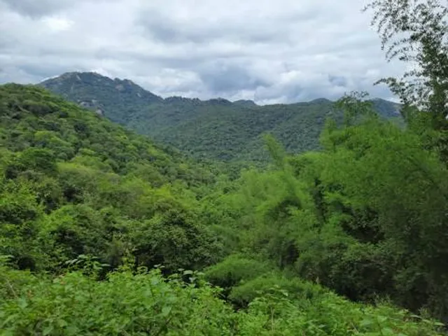 Javadi Hills