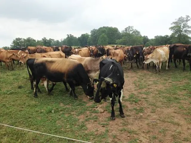 Ceres River Bluff Regional Park