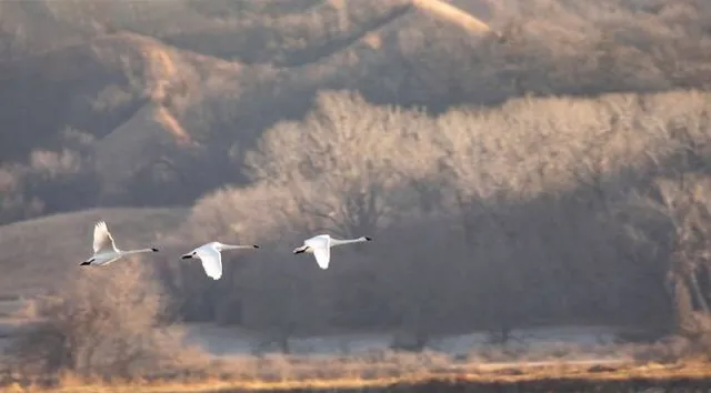 Loess Bluffs National Wildlife Refuge