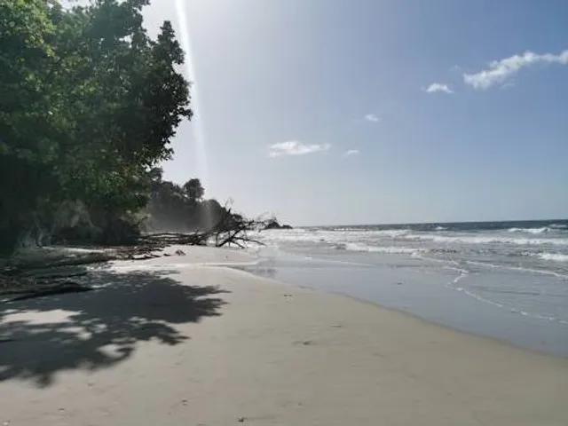 Blanchisseuse Beach Facility