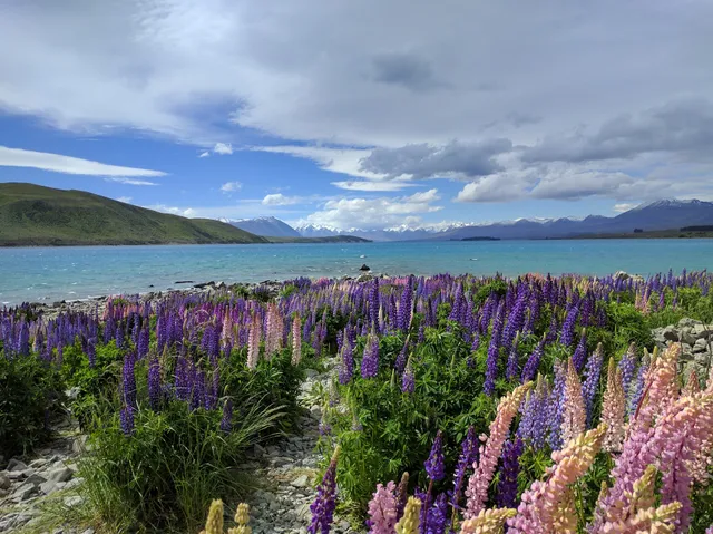 Lake Tekapo Scenic