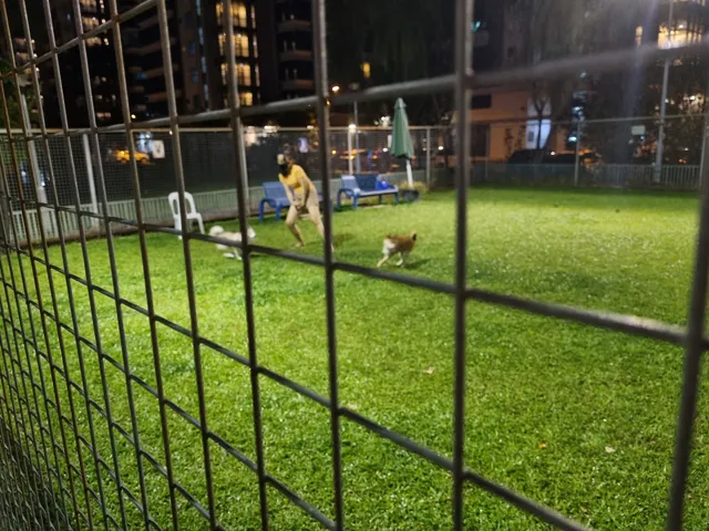 Dog Run @ Sin Ming