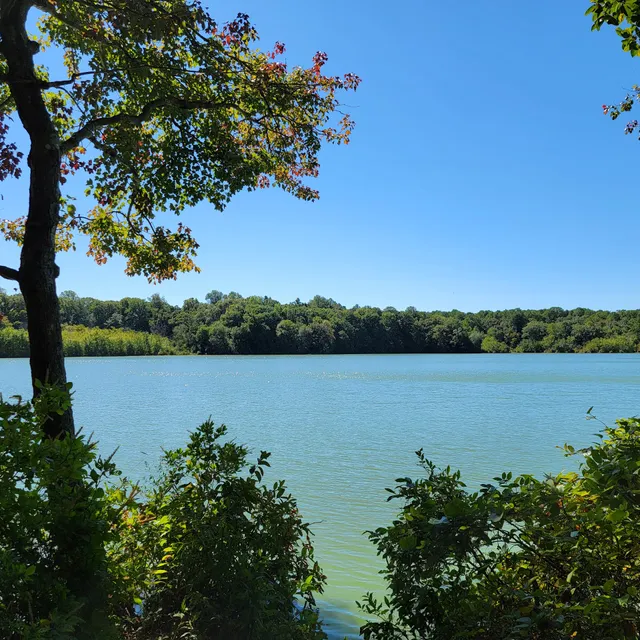 Killens Pond State Park