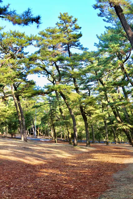 Maruyama Park