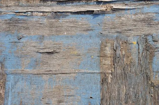 photo-1
