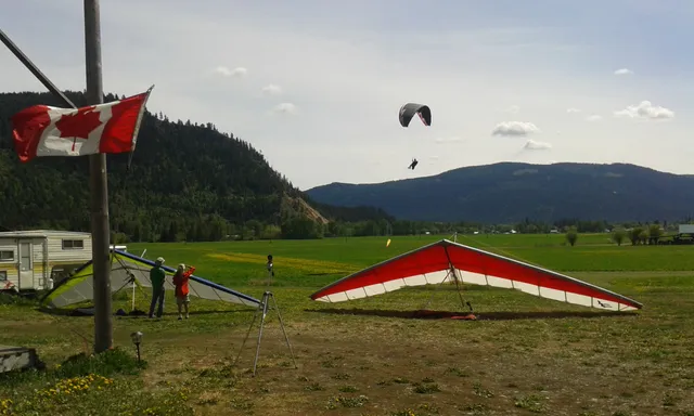 Area D (Trinity/West Creighton)