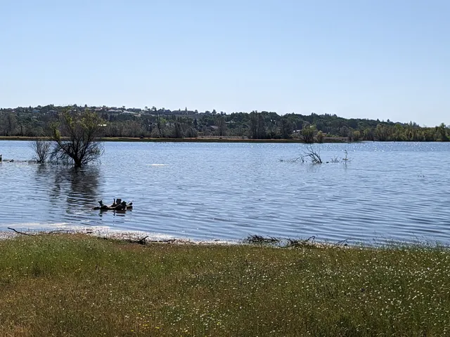 Bass Lake Regional Park