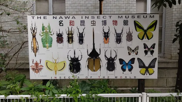 Nawa Museum of Insects