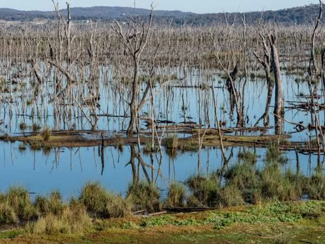 Winton Wetlands