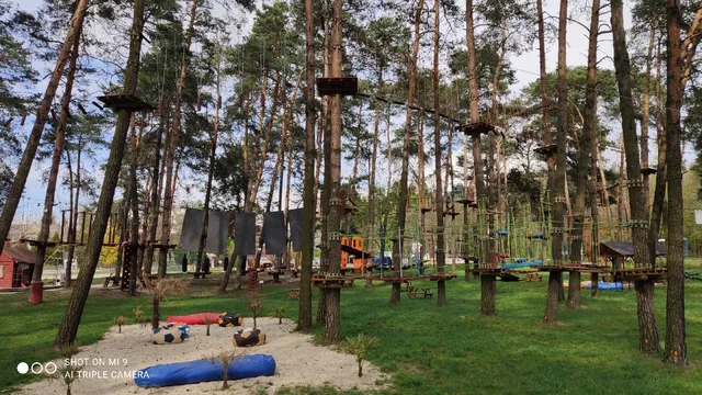 Linolandia - Kryspinów